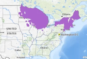 Blue spotted salamander range