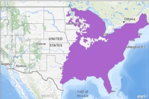 Eastern newt range