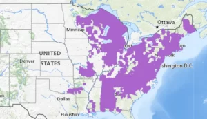 Four toed salamander range