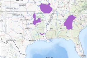 Southern red backed salamander range