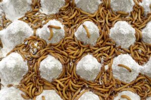 Mealworms on an empty egg tray